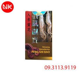 Cường lực phong thấp bảo - Ginseng ganoderma feng shi bao